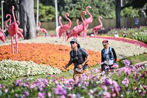 BIB: 
                            <button type="button" onclick="openModal(27794461)" class="btn btn-primary btn-sm float-right btn-popup" data-toggle="modal" data-target=".modal-high-quality">
                        <i class="fas fa-shopping-cart"></i> Add to Cart
                    </button>
                                            <button type="button" onclick="isThisMe(27794461, true)" class="btn btn-success btn-sm float-right btn-popup btn-isme hidden" data-toggle="tooltip" data-placement="bottom" title="นี่คือรูปของคุณใช่ไหม คลิกที่นี่เพื่อเอาเข้าอัลบั้ม">
                        <i class="fas fa-plus"></i> Add to album
                    </button>
                    <button type="button" onclick="isThisMe(27794461, false)" class="btn btn-warning btn-sm float-right btn-popup btn-isnotme hidden">
                        <i class="fas fa-ban"></i> Remove from album
                    </button>